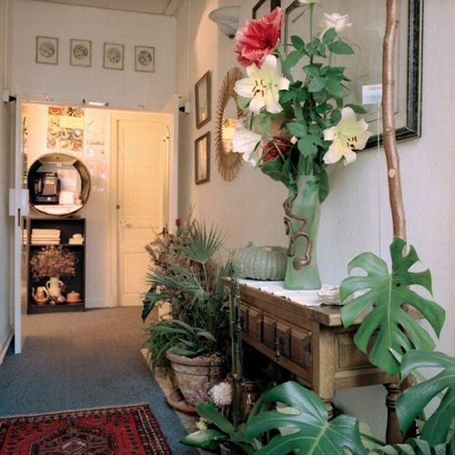 Hotel Wilson Nice Bagian luar foto